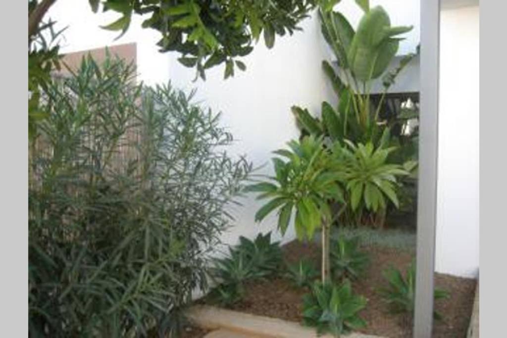 Casa Esparto Rodalquilar Εξωτερικό φωτογραφία